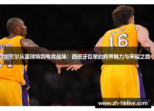 加索尔从篮球场到电竞战场：西班牙巨星的跨界魅力与荣耀之路